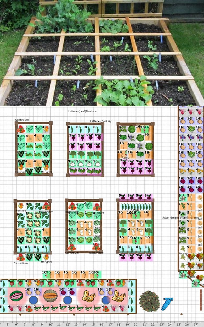  raised vegetable garden planner