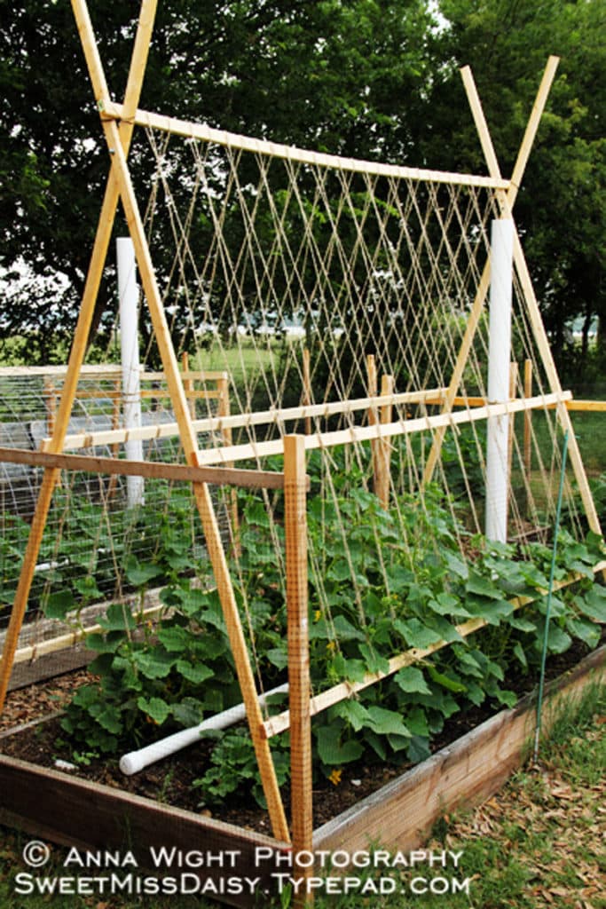 Wood and string trellis