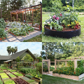8 Easy Steps To Start Your Best Vegetable Garden A Piece Of Rainbow