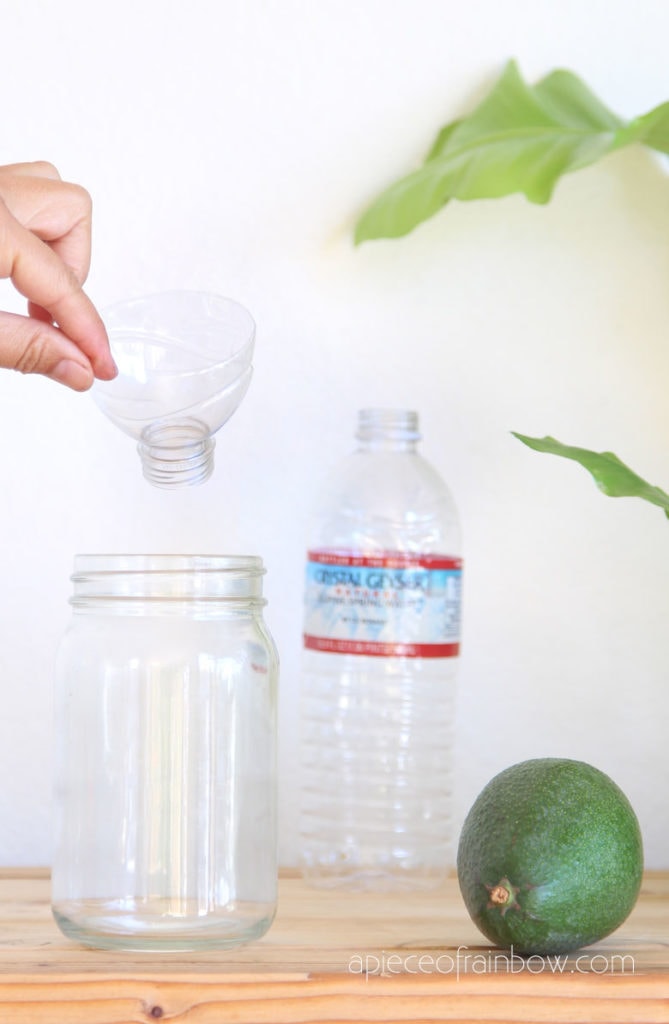 how to make  avocado tree growing kits using plastic bottles