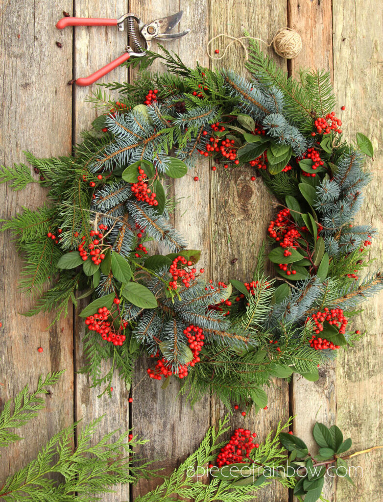 fresh Christmas wreath with colorful  red berries