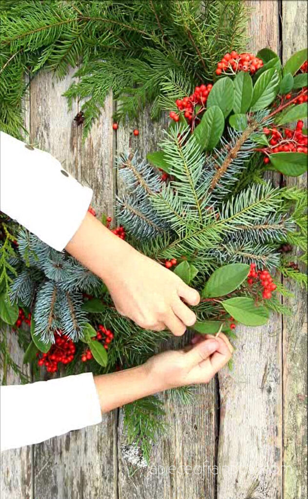 decorate fresh CHristmas wreath with using red berries and blue spruce