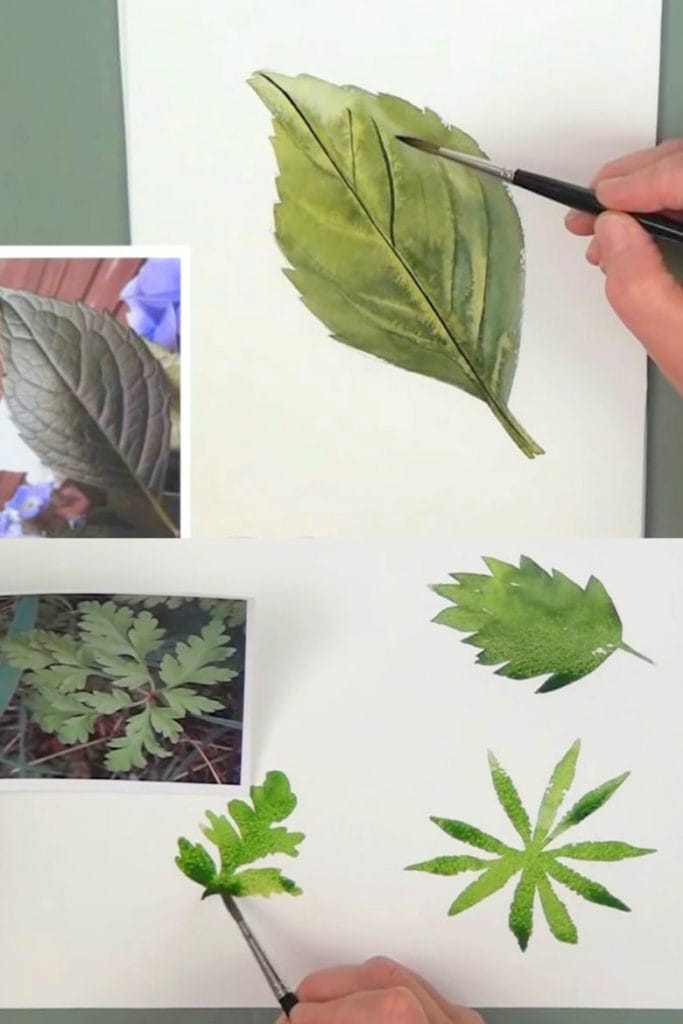 How to paint watercolor leaves from real leaf or photos