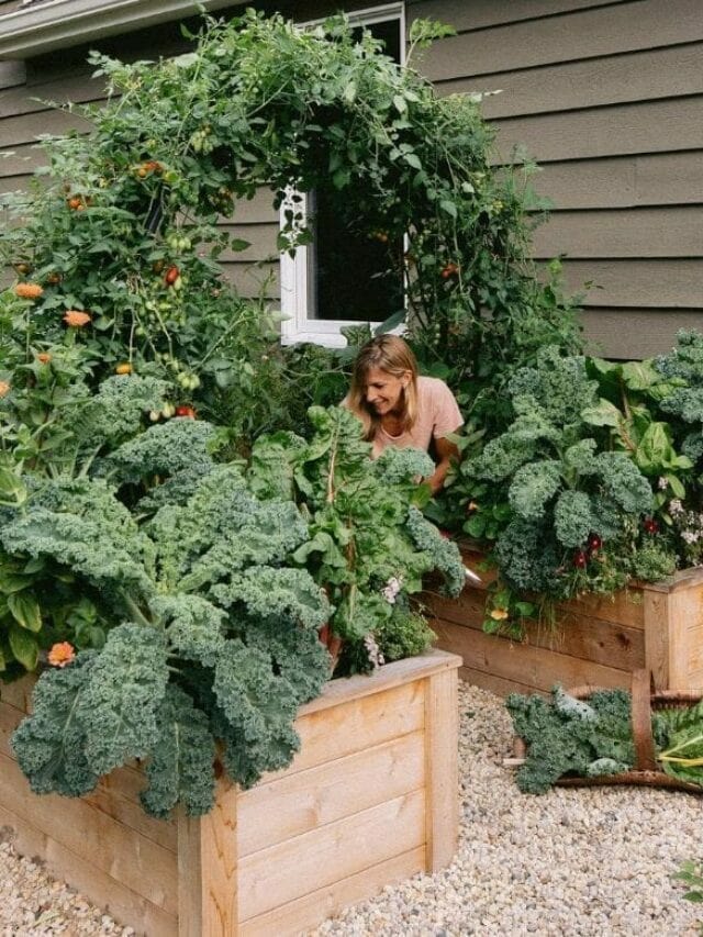16 Most Rewarding Vegetables Anyone Can Grow Easily