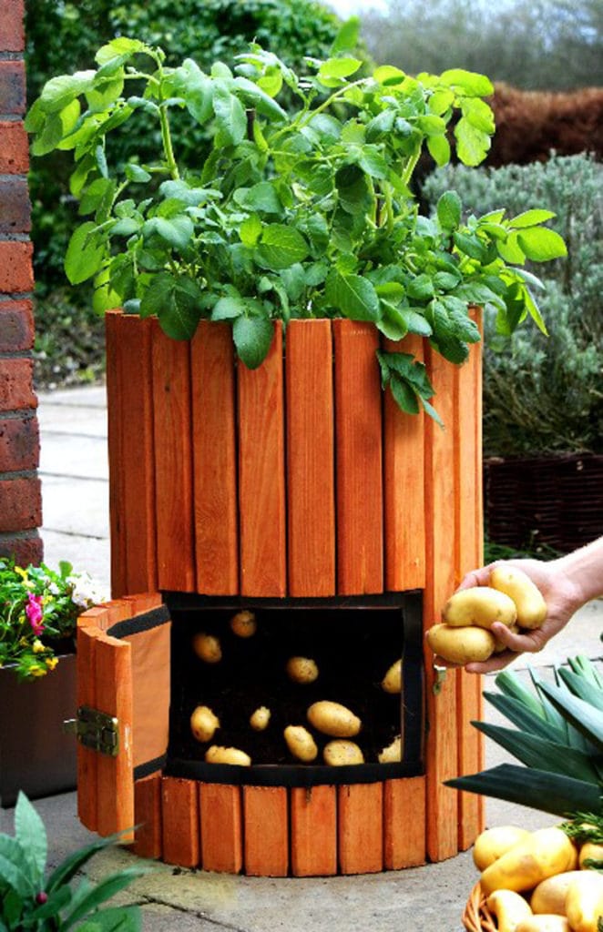 potato planter with flap