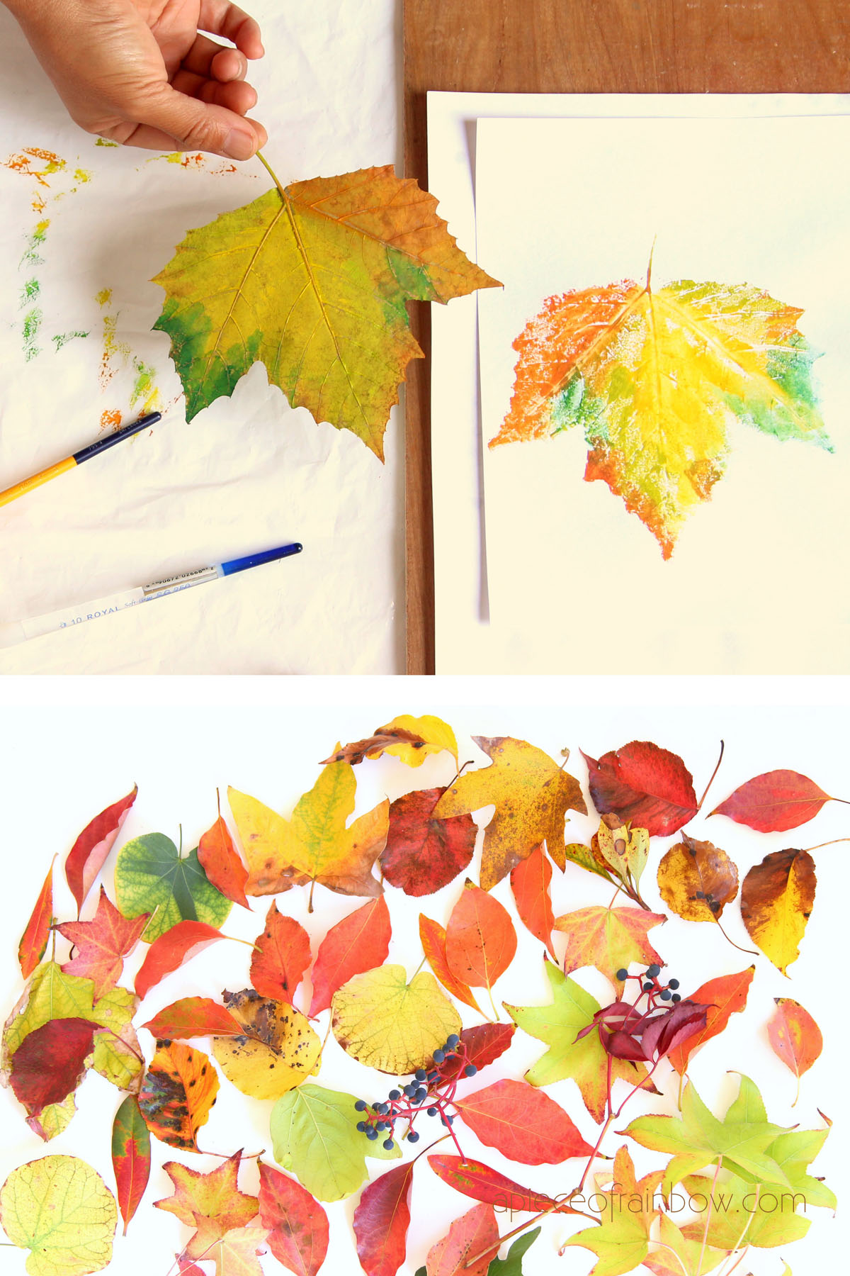 24 Fall Leaf Art Projects for Kids - Fantastic Fun & Learning