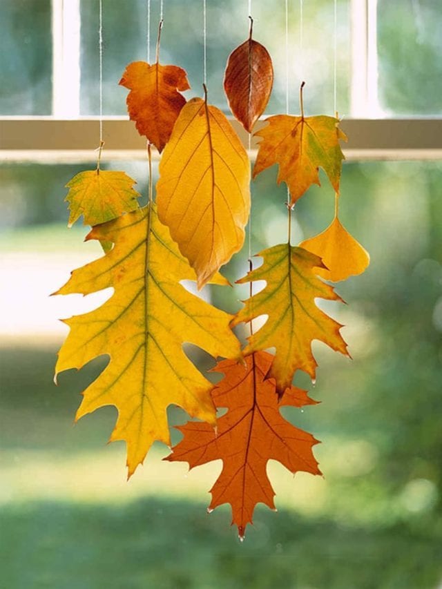 24 Easy Beautiful Fall Leaf Crafts and Decor