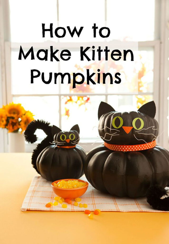Halloween cats pumpkin decorations  