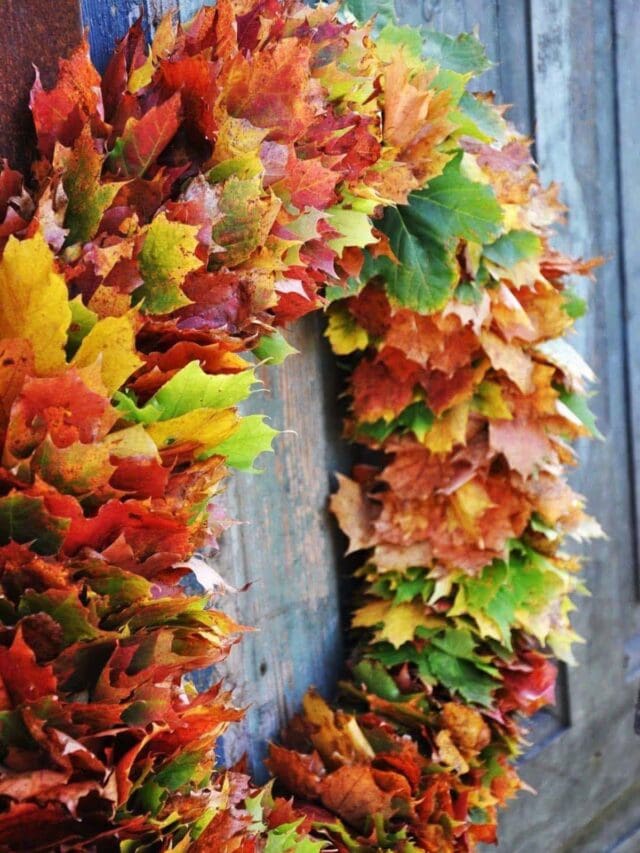 Make Beautiful Fall Leaf Crafts and Decor in 20 Minutes