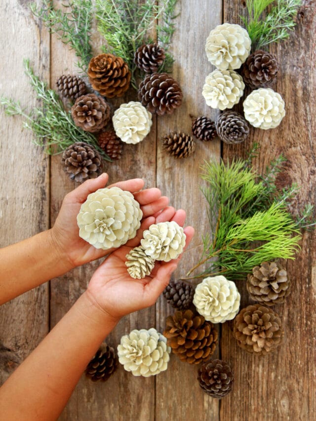 Best DIY Pine Cone Crafts & Decor For Fall and Thanksgiving