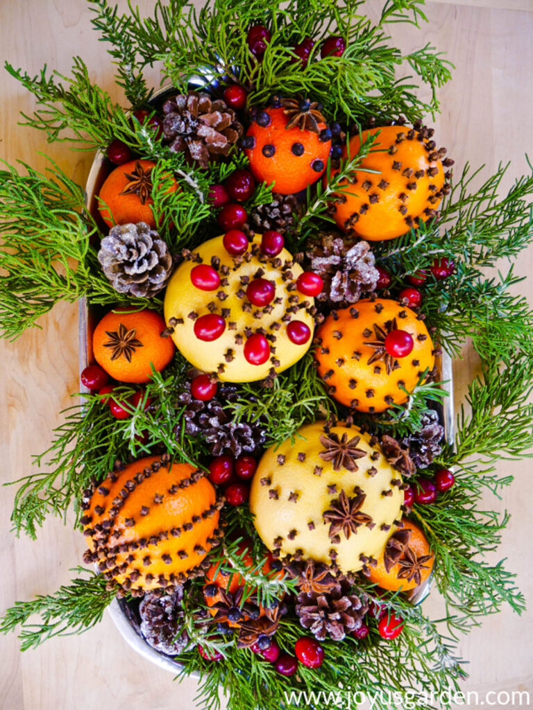 Thanksgiving and Christmas centerpiece table decor with oranges