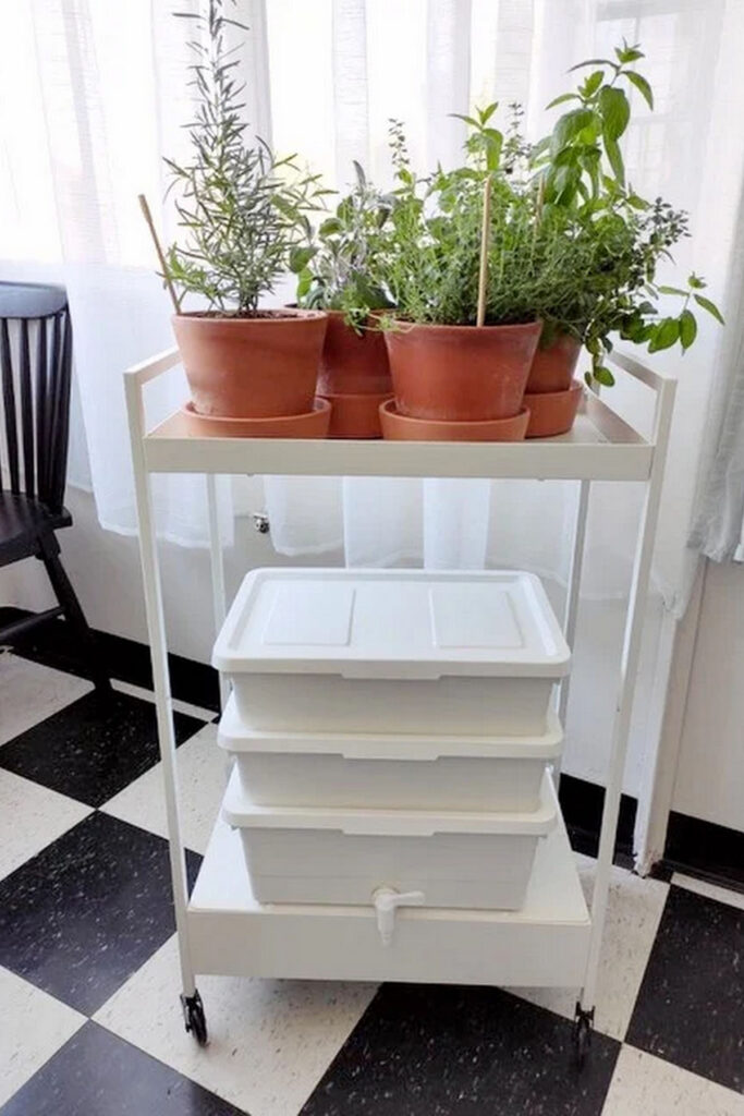 DIY worm bin on a trolley with indoor herb garden