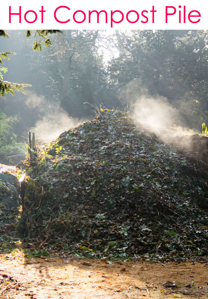 steam rising from hot compost pile