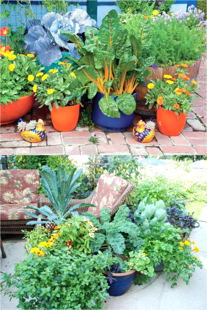 Companion planting in a container vegetable garden