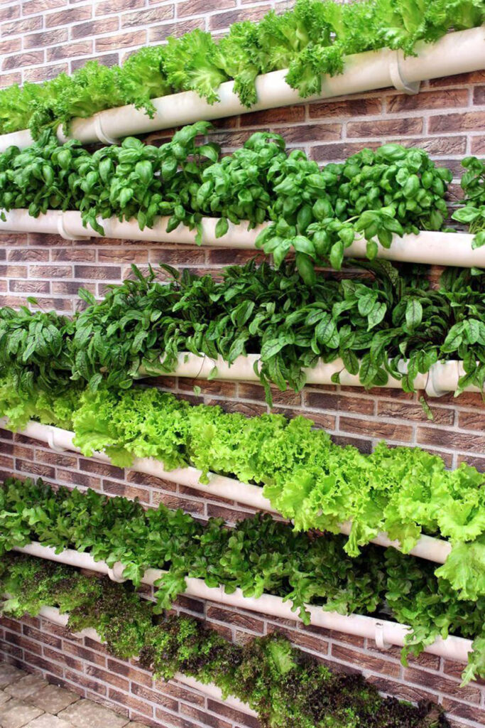 Gutter hydroponic herb and vegetable garden
