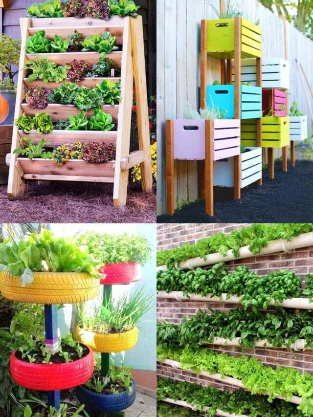 Amazing Creative Container Vegetable Garden Ideas