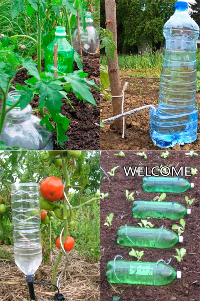 Plastic bottle garden irrigation ideas