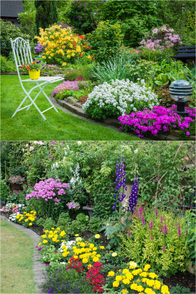 Perennial garden design with ornamental plants and flowers