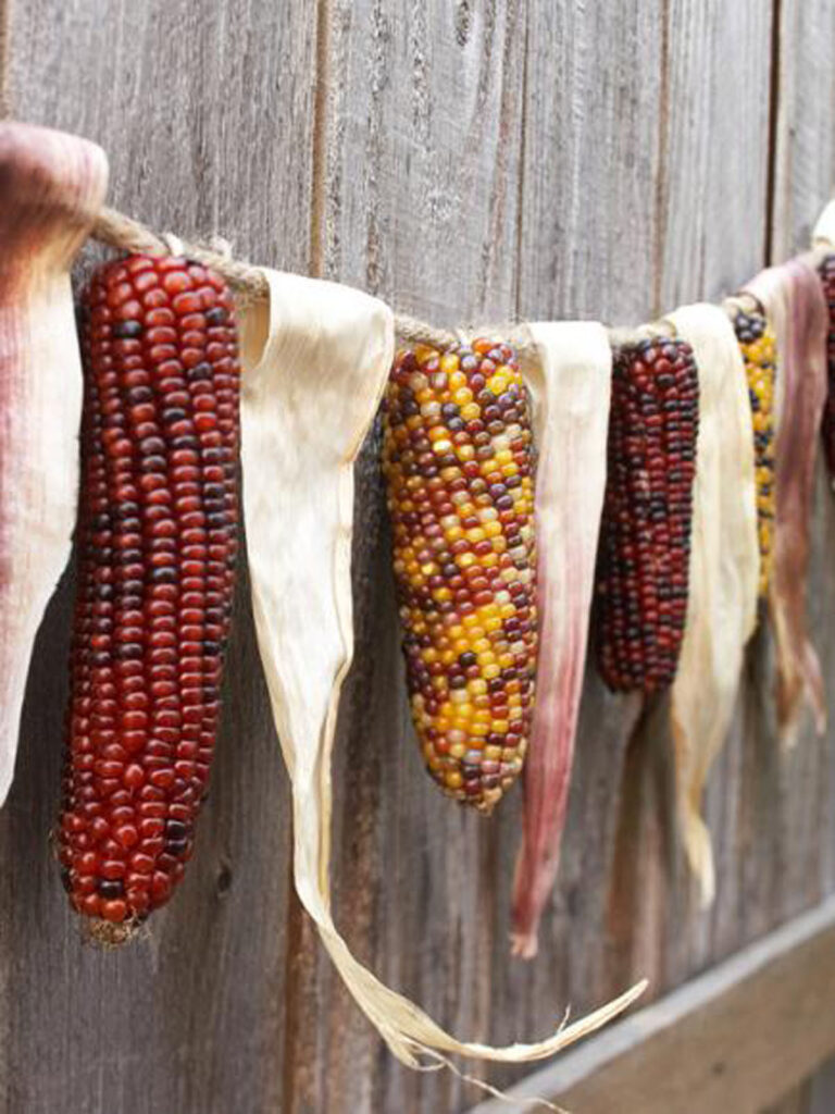 DIY corn garland fall decorations