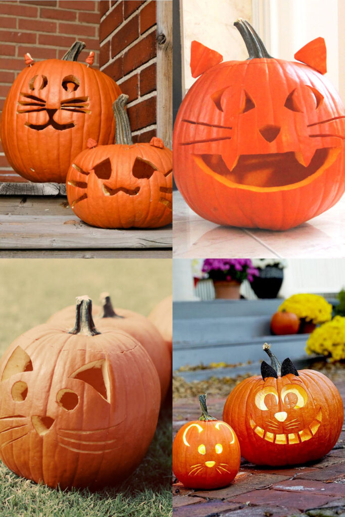 Cute cat pumpkin carving ideas