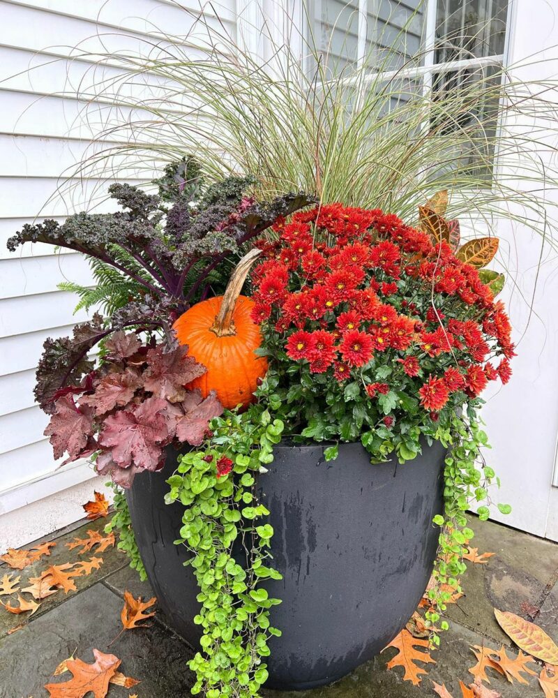 Red flower fall porch planter