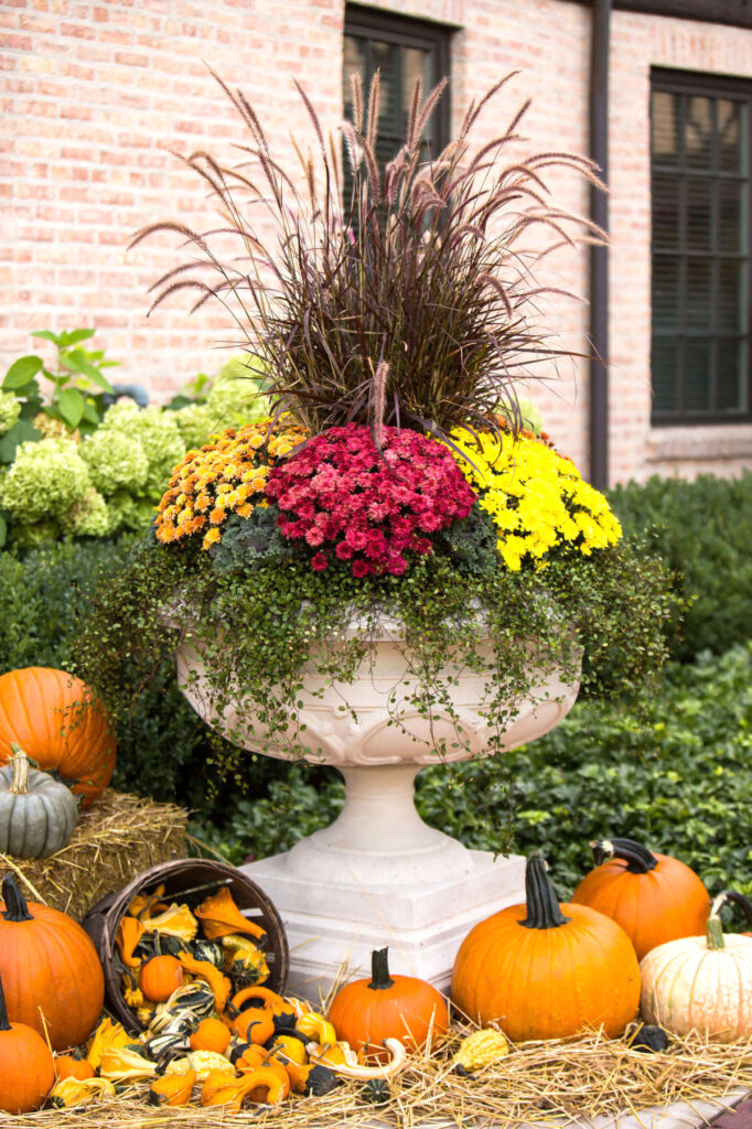 Colorful urn planter for fall garden