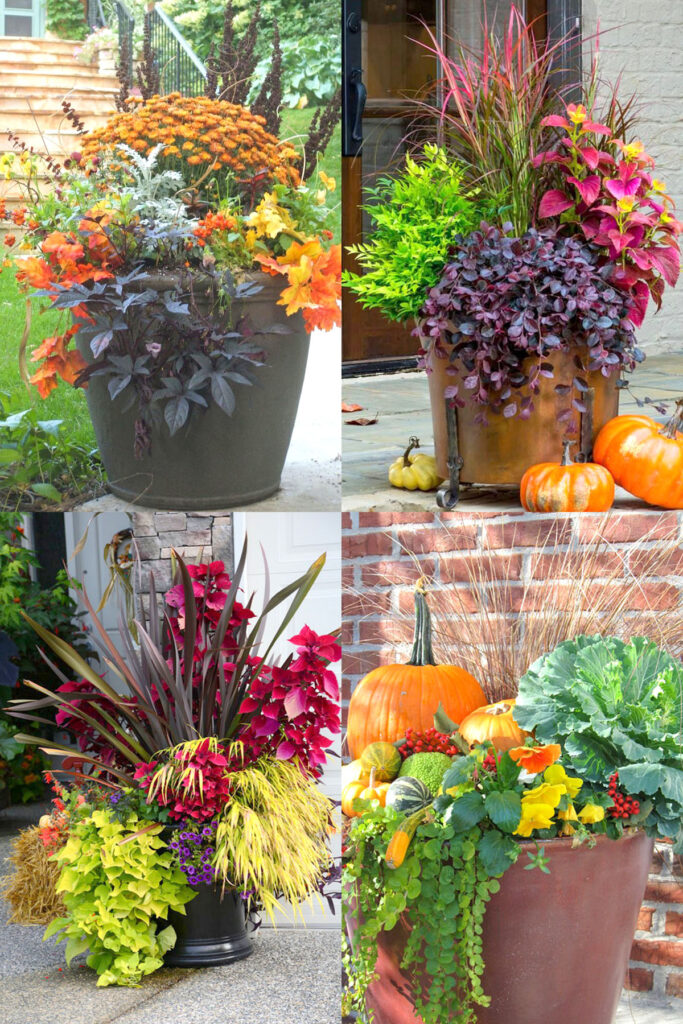colorful front porch fall flower pot ideas 