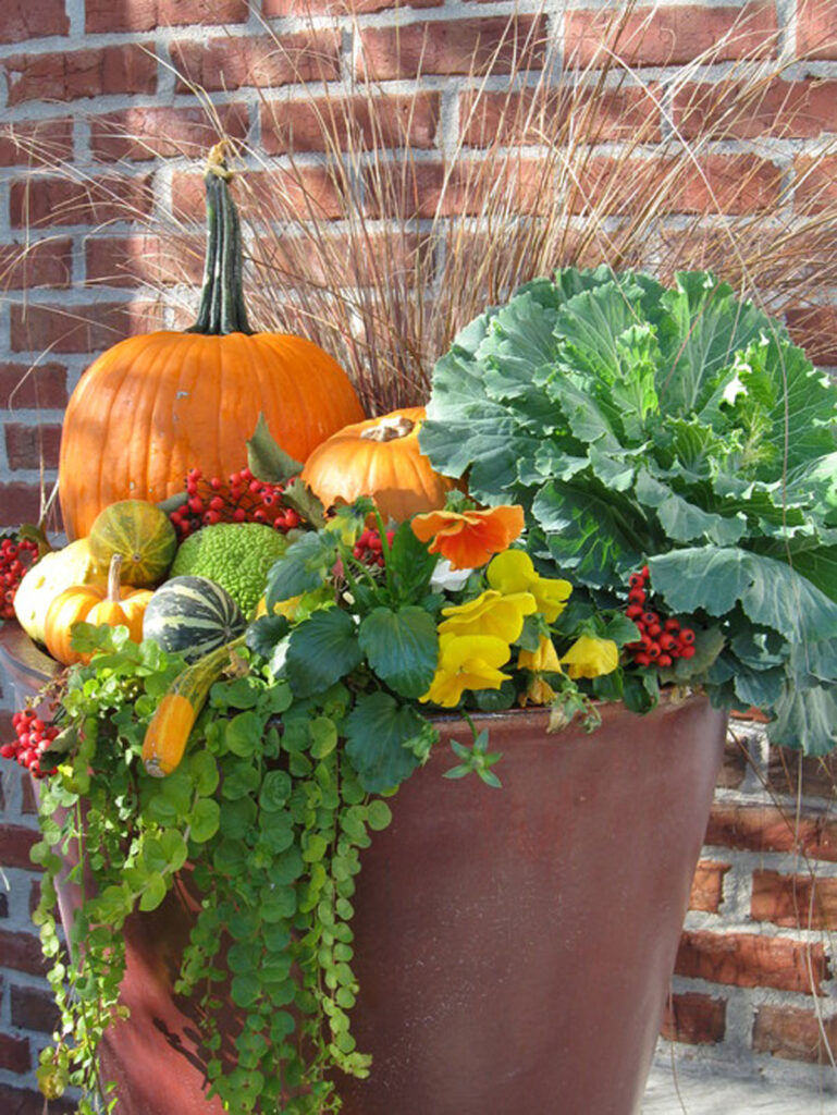 Use pumpkins in fall planters