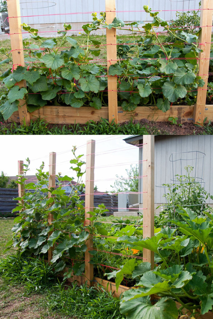 Simple Wood Posts and String Trellis Ideas