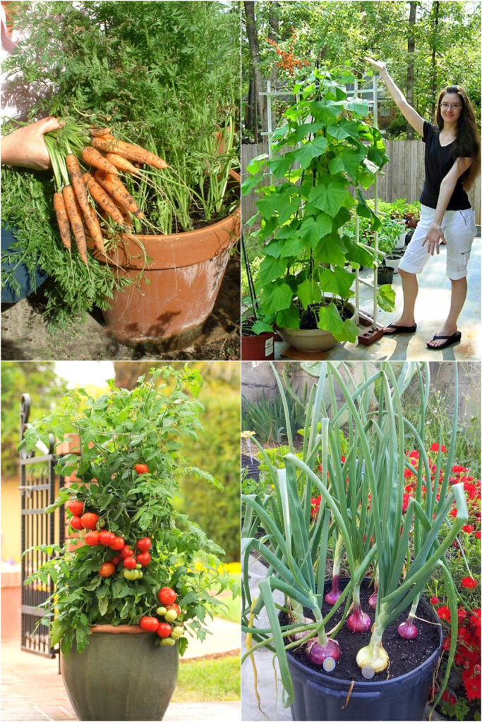 Easy vegetables for container gardening.