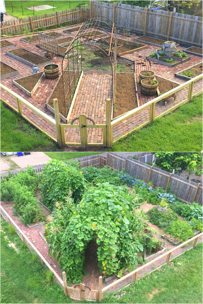 Diagonal layout vegetable garden design ideas