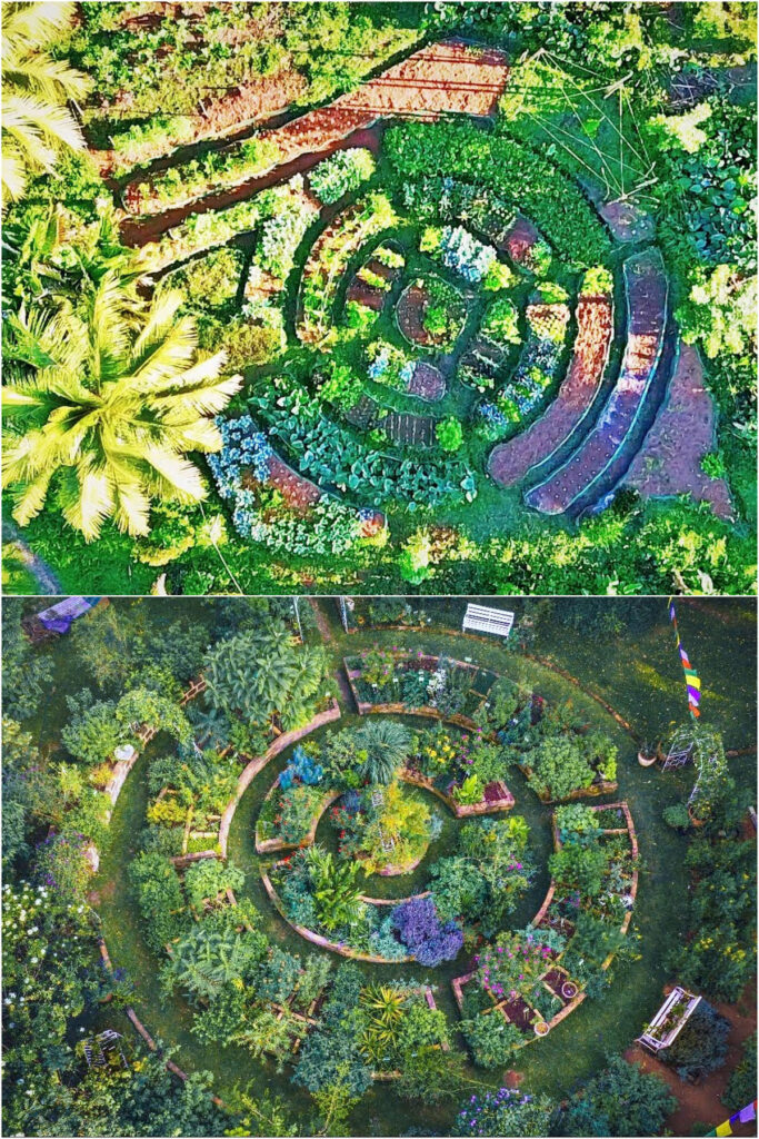 Mandala edible garden designs 