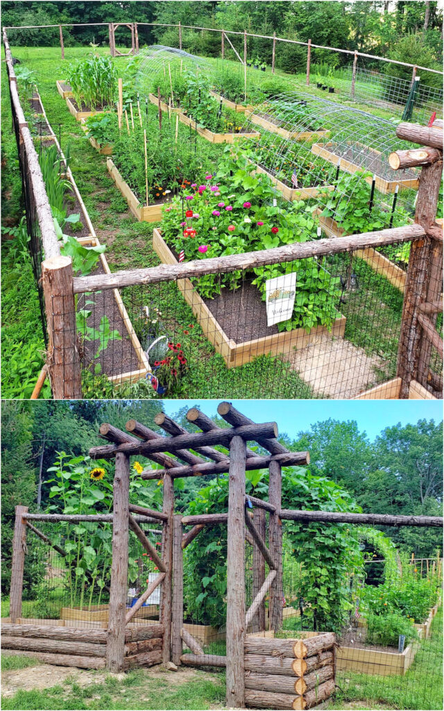 garden fence and gate helps protect your plants from pests and provides vertical support for climbing vegetables
