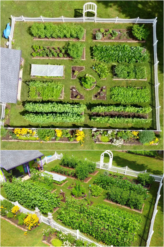 Symmetrical vegetable garden design ideas